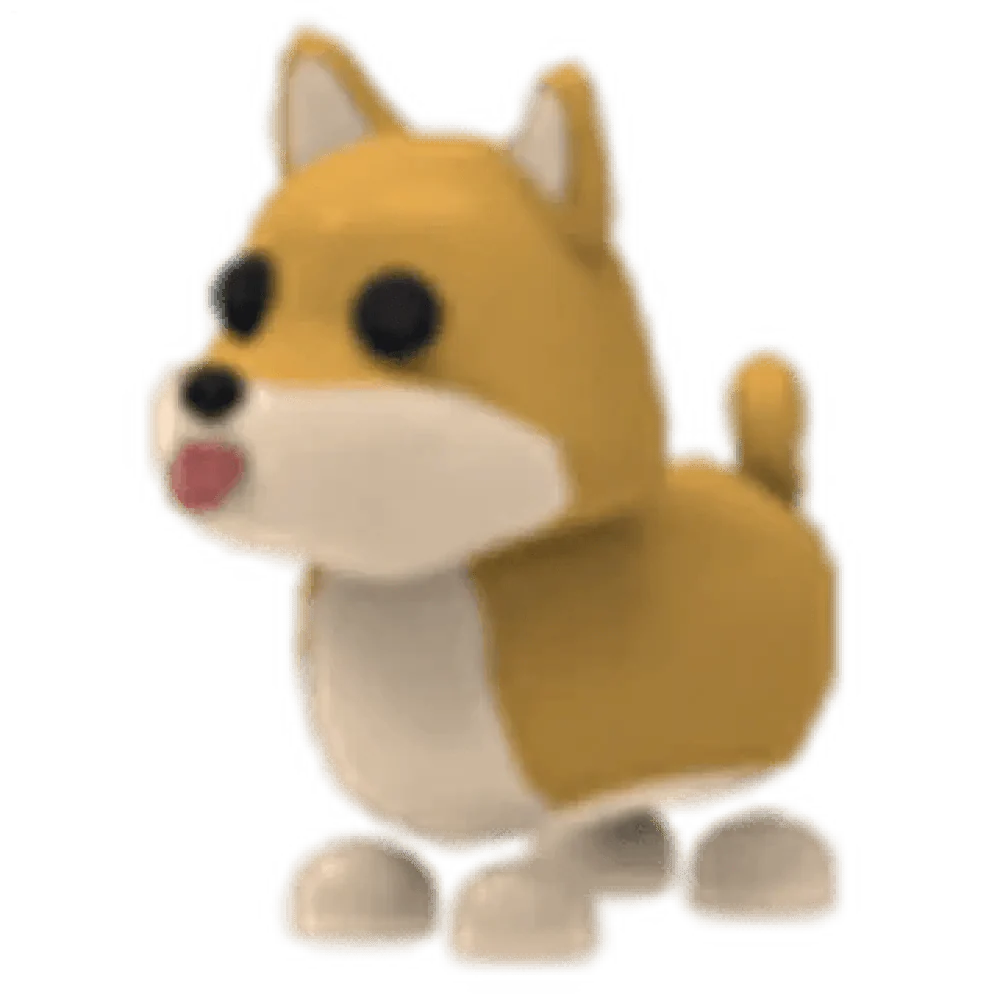 Shiba Inu