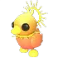 Sunrise Duckling