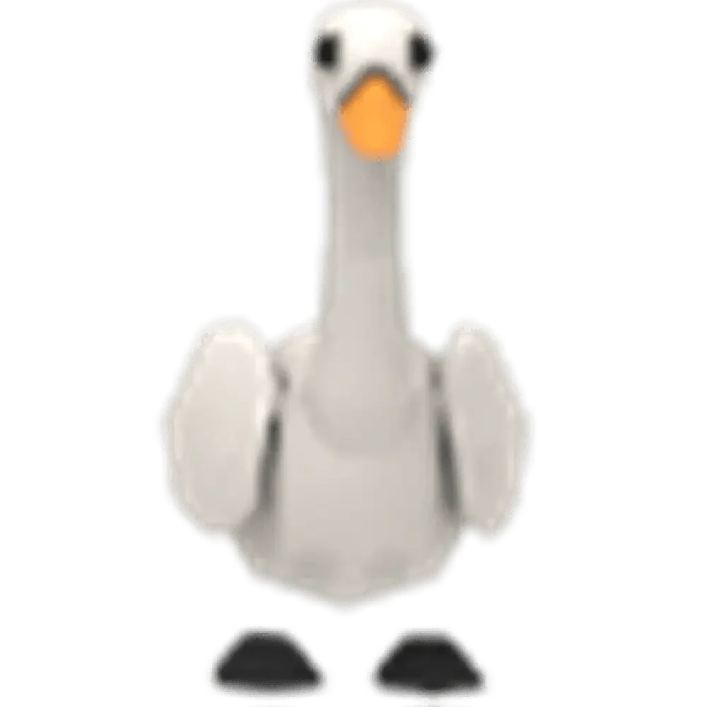 Swan