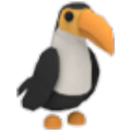 Toucan